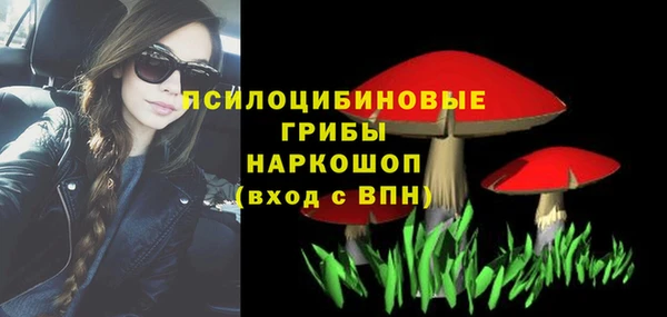 спайс Алексин