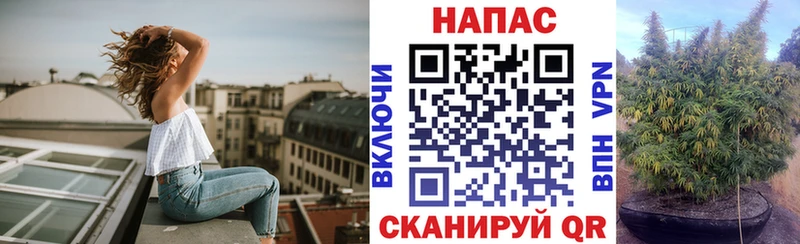 закладка  Красноуфимск  Конопля Amnesia 
